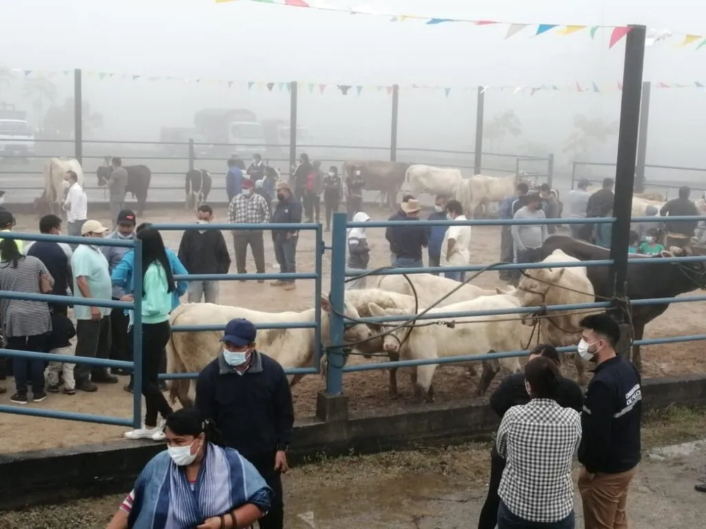 Feria ganadera en Veracruz, ayuda para todos.