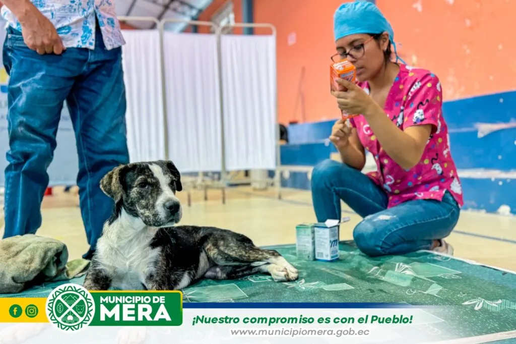 Campaña de esterilización de mascotas en Mera