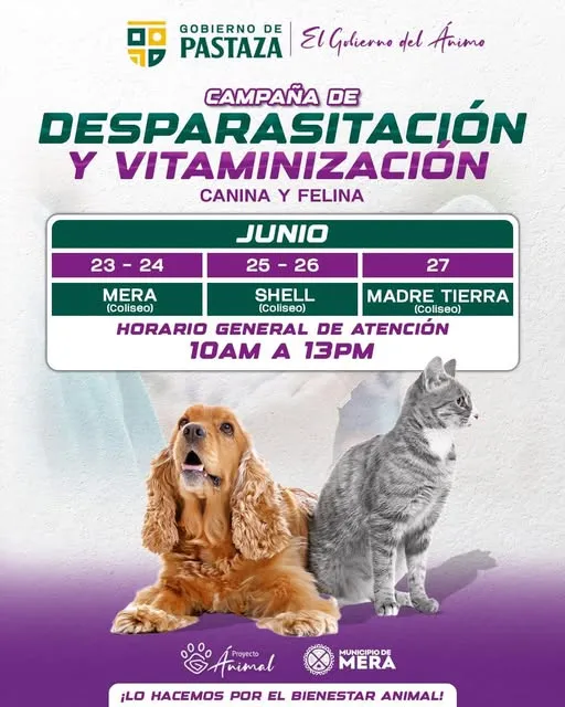 Los peluditos también son atendidos por el GADPPZ