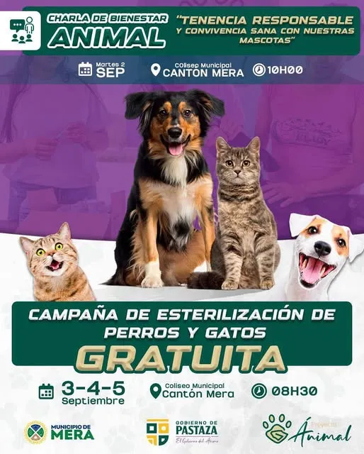 En cantón Mera hay bienestar animal