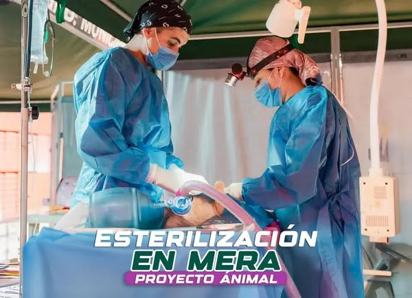Peluditos más sanos en cantón Mera