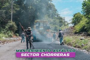 El turismo se fortalece paso a paso.